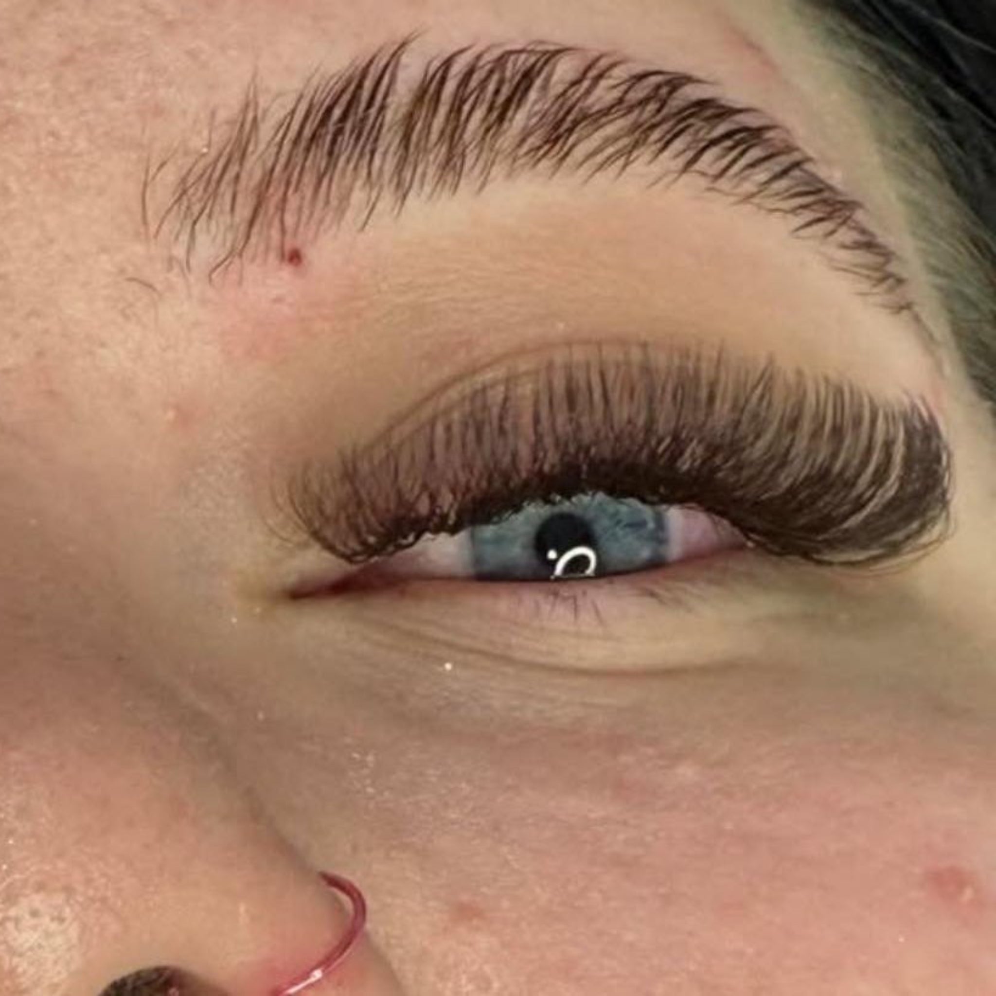 ladybuglashes lashglue lashtrays lashadhesive glueretention cloverlashes wlashes yylashes premades promades lashes