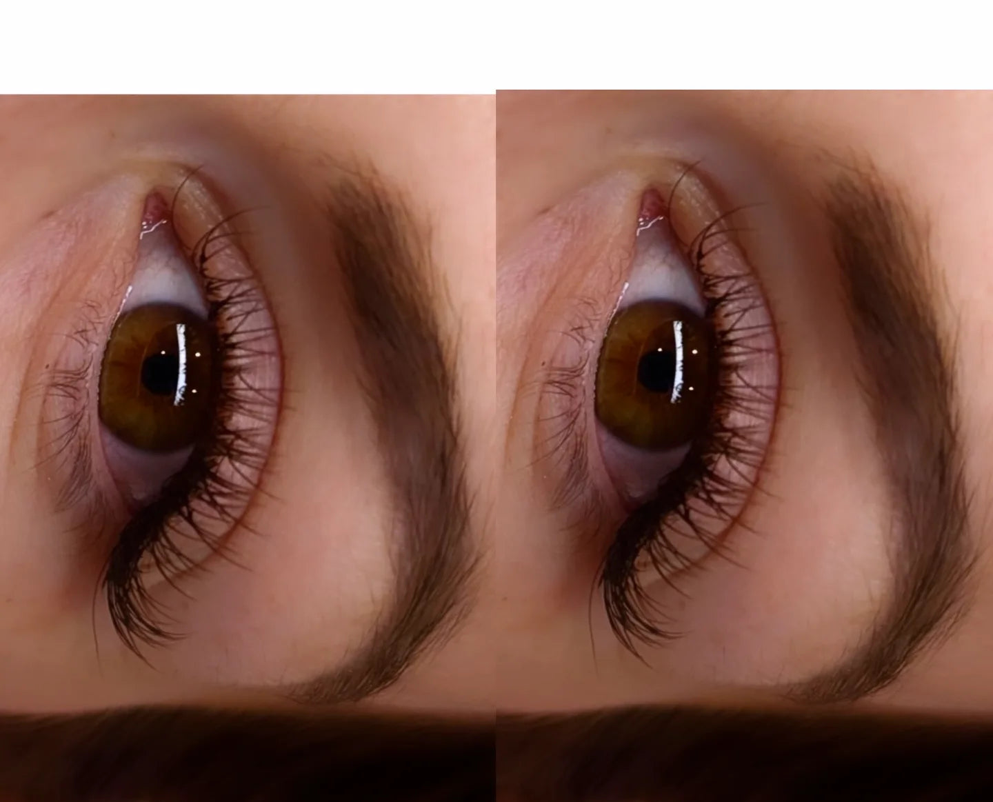 Cashmere Flat Classics – 16 Row Mixed Tray in Brown 🤎🤎 or Caramel 🤎🤎