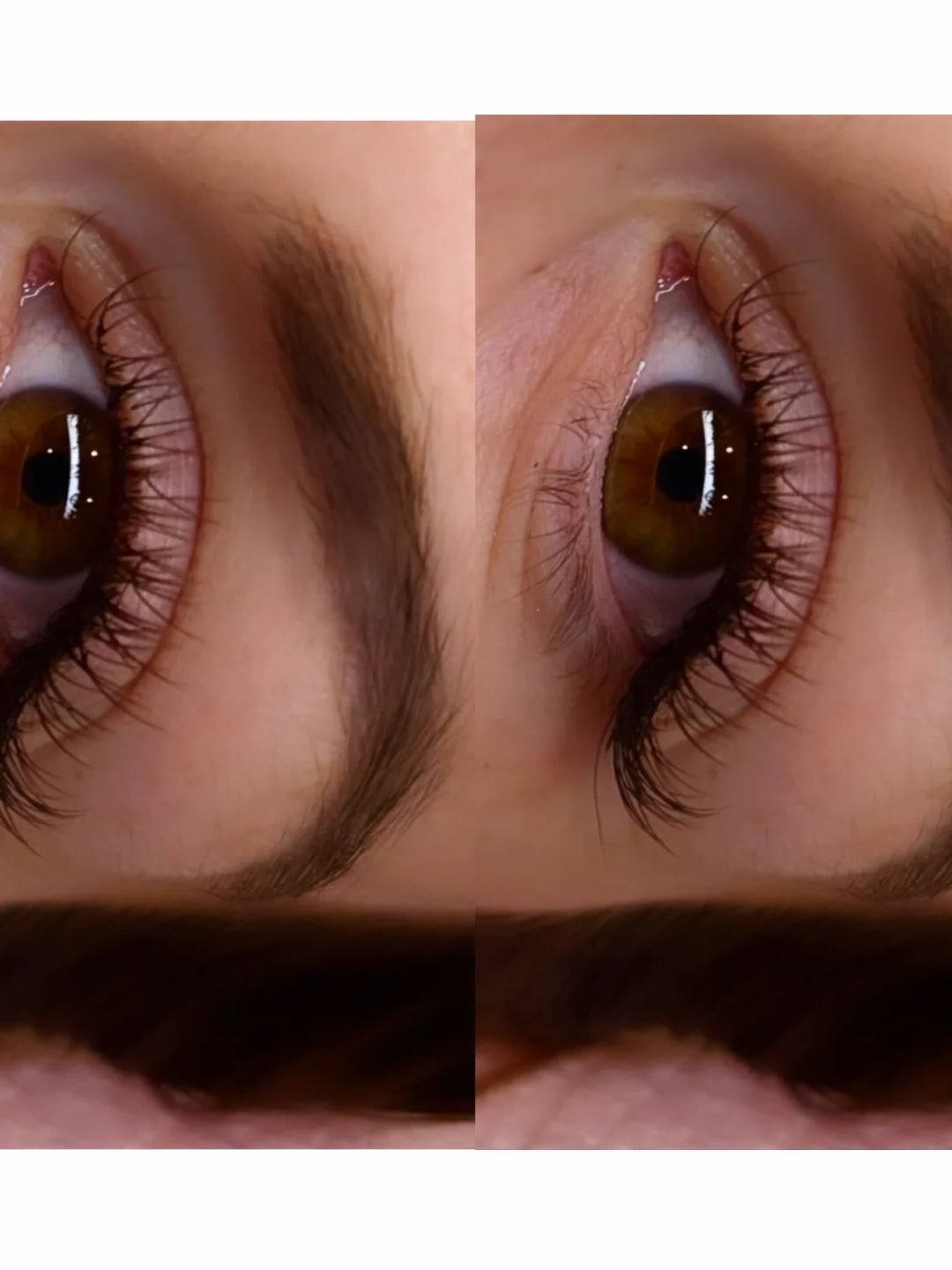 Cashmere Flat Classics – 16 Row Mixed Tray in Brown 🤎🤎 or Caramel 🤎🤎