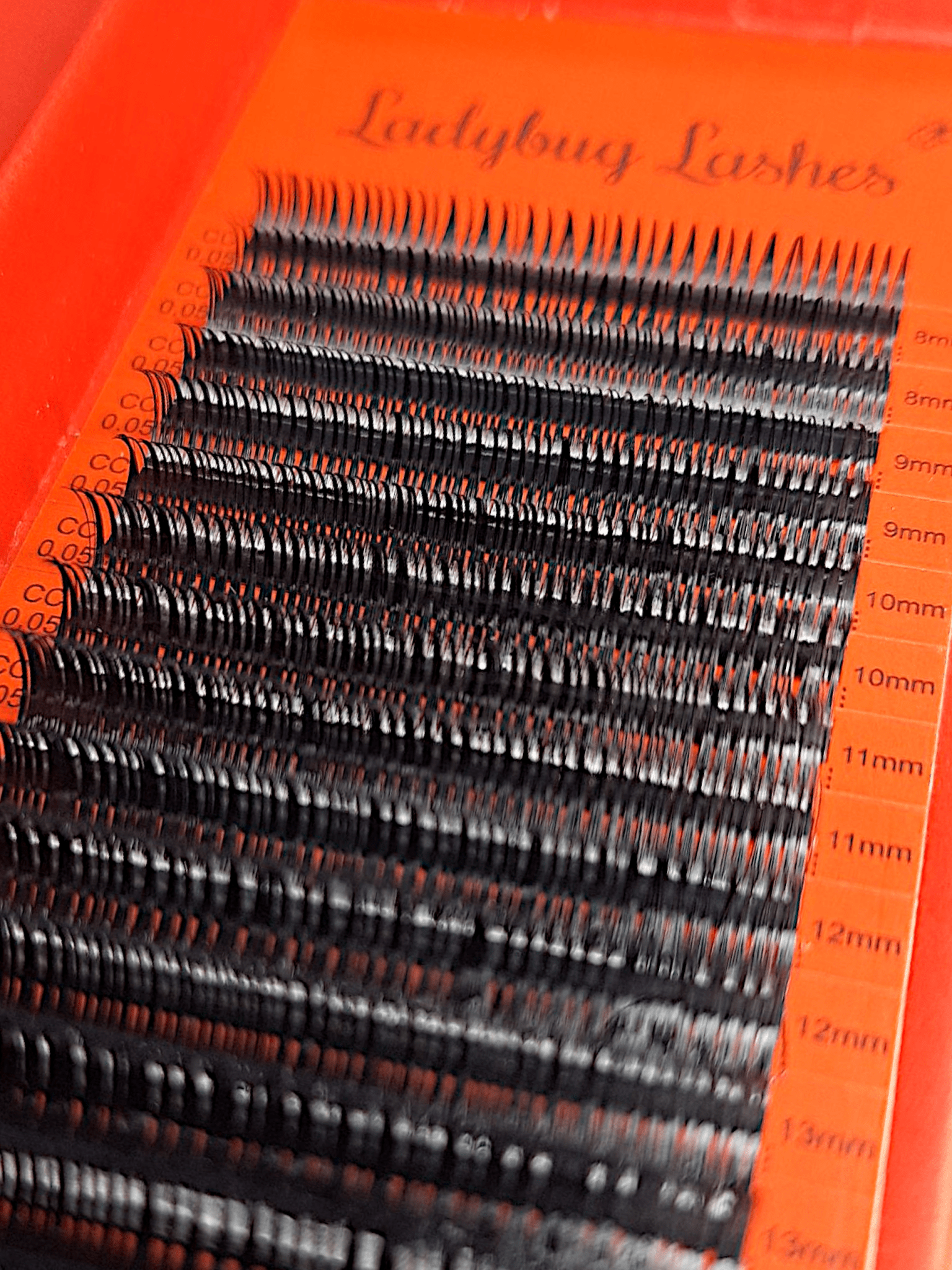 ladybuglashes lashglue lashtrays lashadhesive glueretention cloverlashes wlashes yylashes premades promades lashes