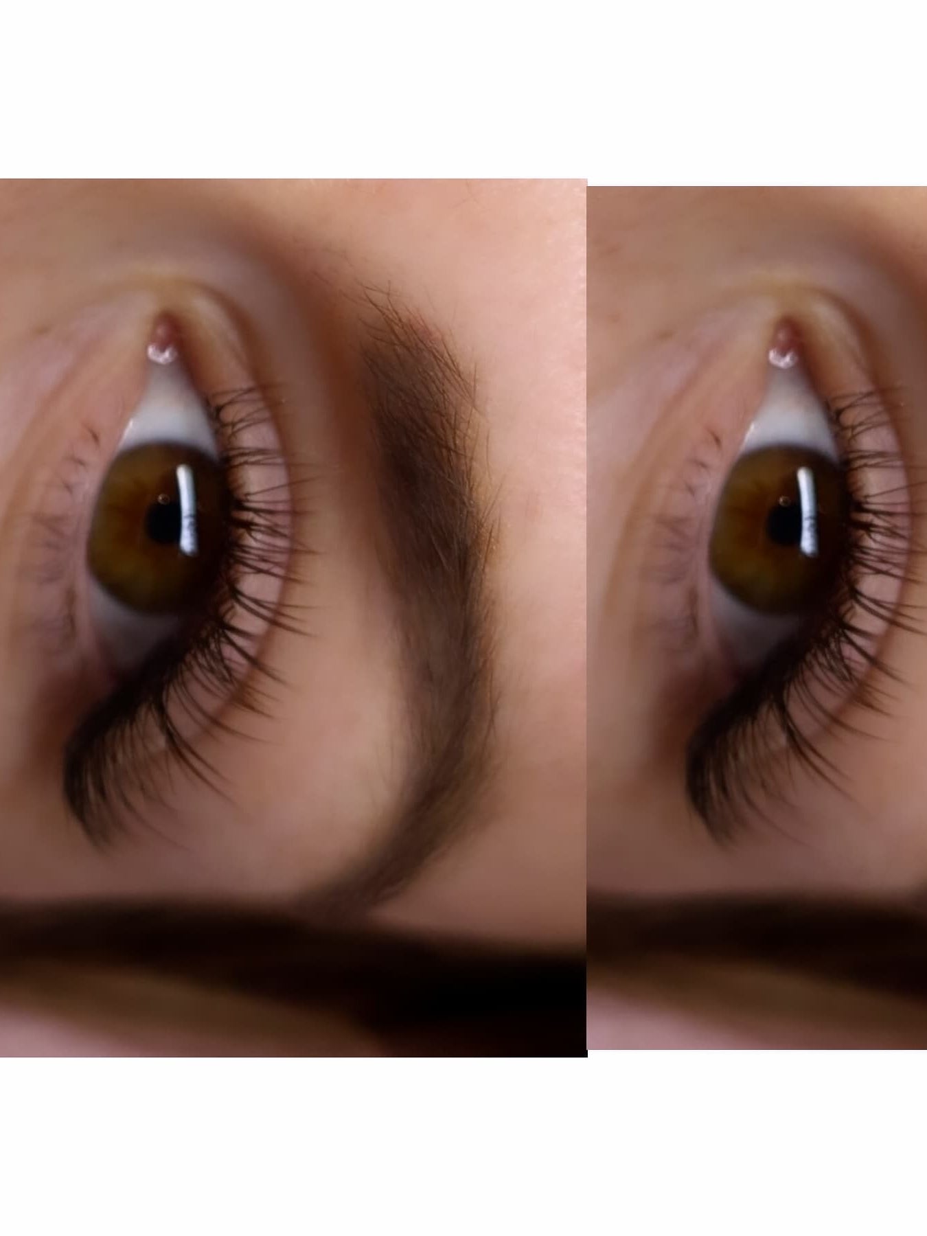 Cashmere Flat Classics – 16 Row Mixed Tray in Brown 🤎🤎 or Caramel 🤎🤎