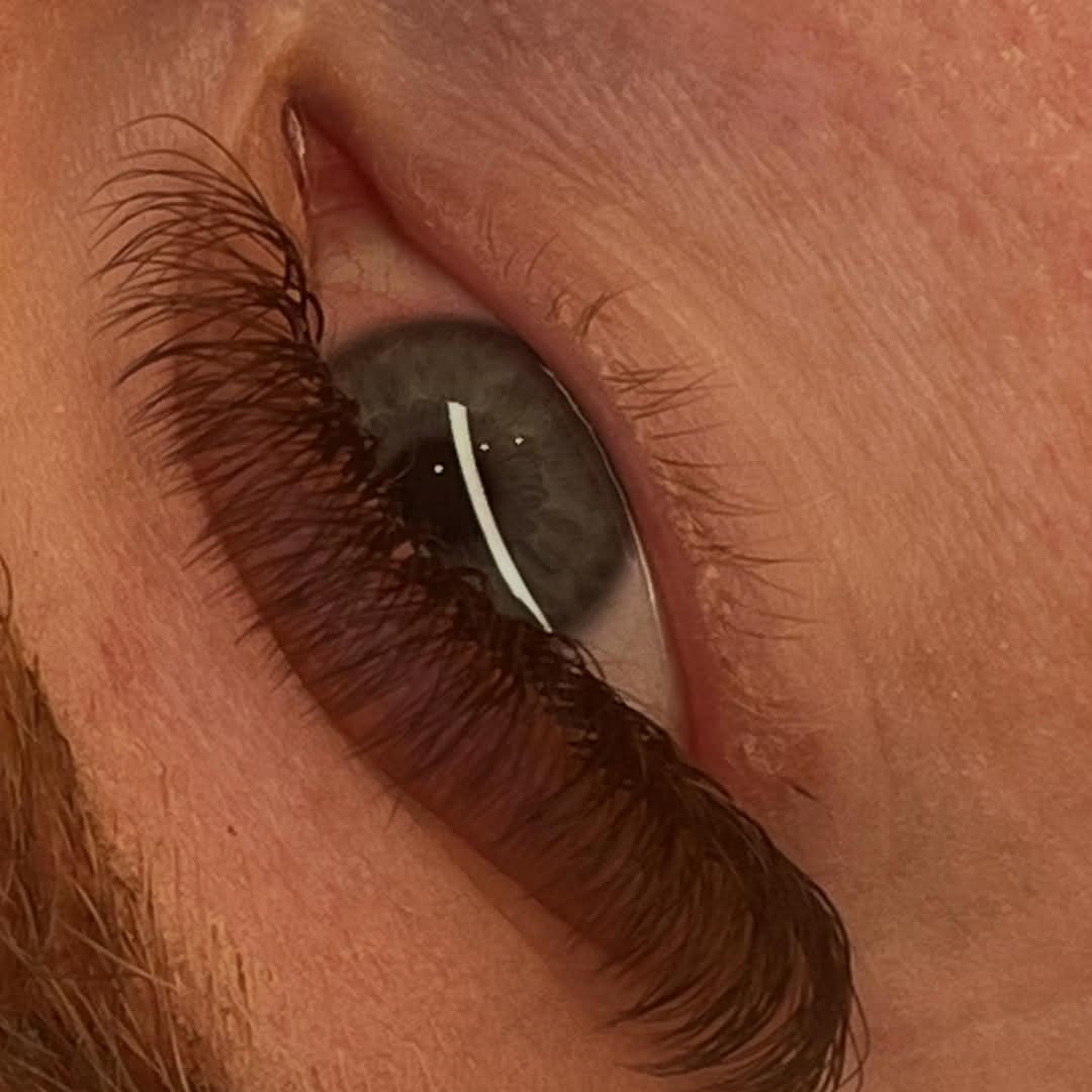 ladybuglashes lashglue lashtrays lashadhesive glueretention cloverlashes wlashes yylashes premades promades lashes