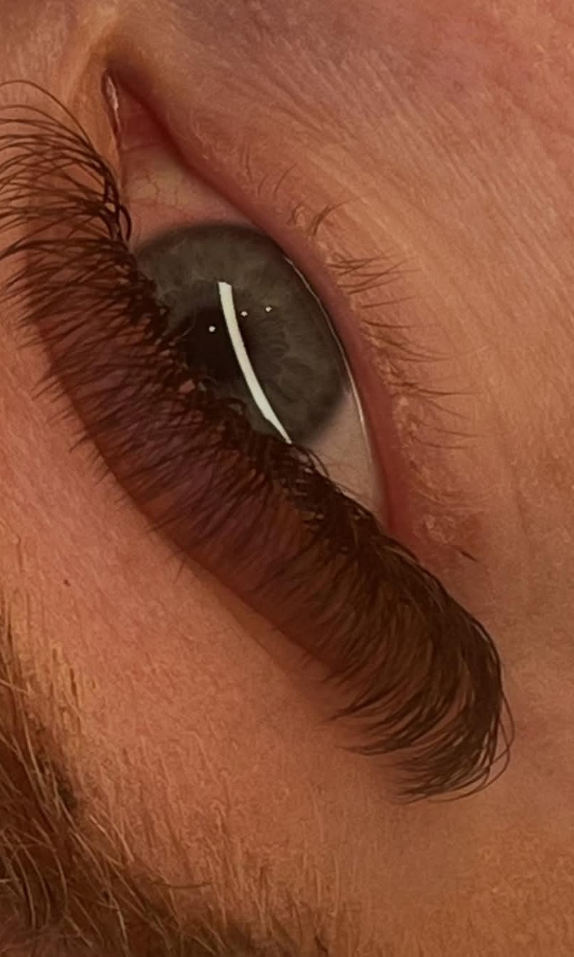 ladybuglashes lashglue lashtrays lashadhesive glueretention cloverlashes wlashes yylashes premades promades lashes