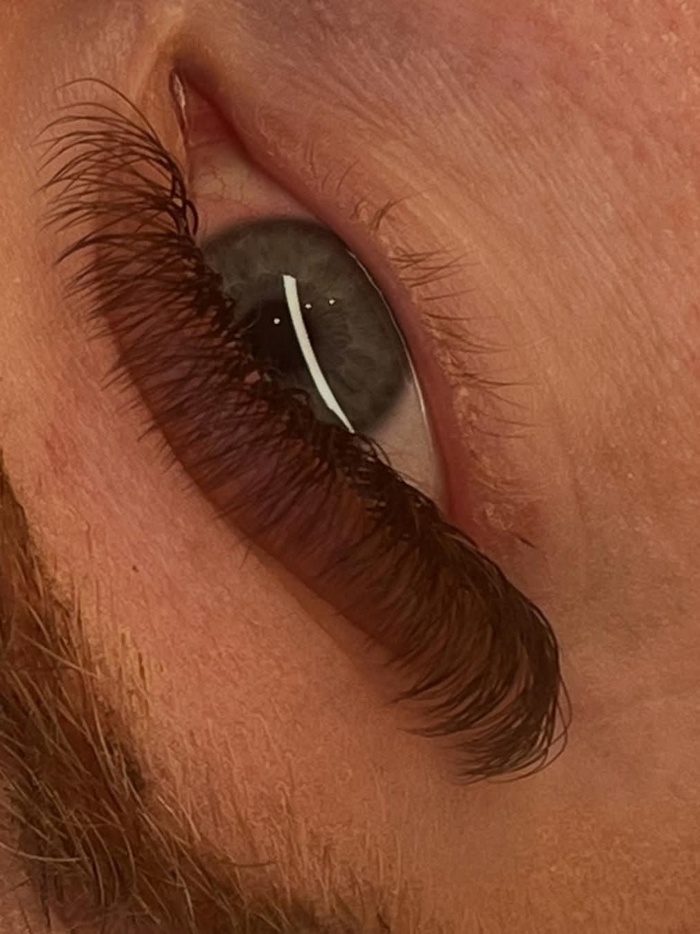 ladybuglashes lashglue lashtrays lashadhesive glueretention cloverlashes wlashes yylashes premades promades lashes