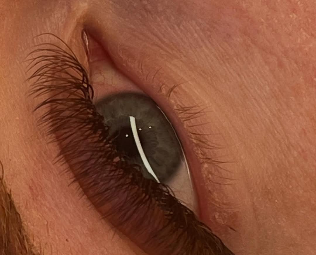 ladybuglashes lashglue lashtrays lashadhesive glueretention cloverlashes wlashes yylashes premades promades lashes