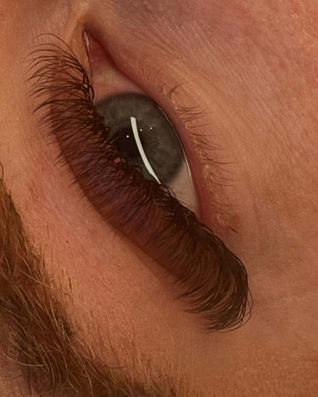 ladybuglashes lashglue lashtrays lashadhesive glueretention cloverlashes wlashes yylashes premades promades lashes