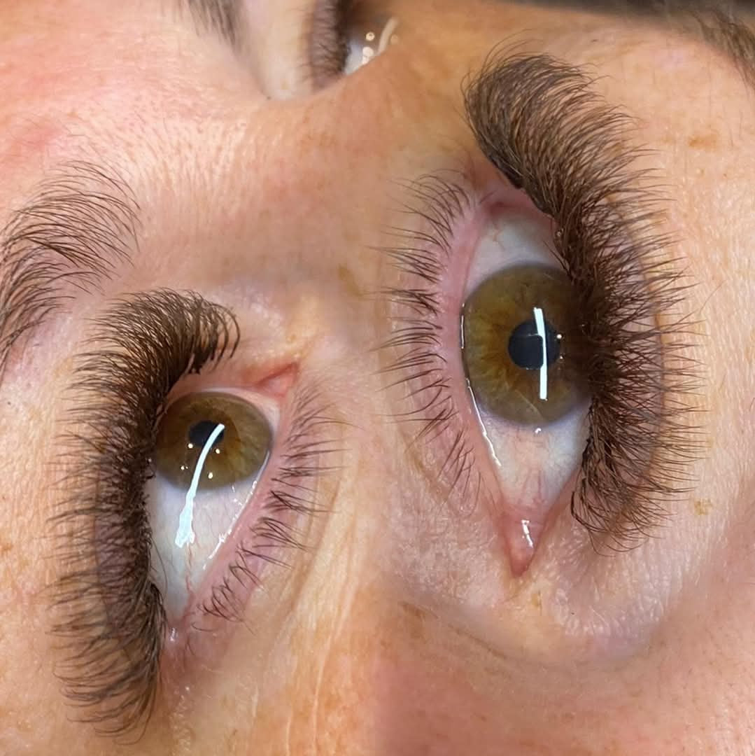 ladybuglashes lashglue lashtrays lashadhesive glueretention cloverlashes wlashes yylashes premades promades lashes