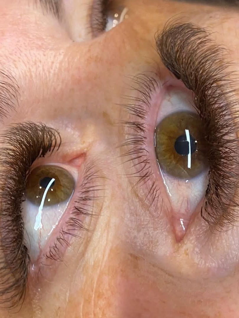 ladybuglashes lashglue lashtrays lashadhesive glueretention cloverlashes wlashes yylashes premades promades lashes