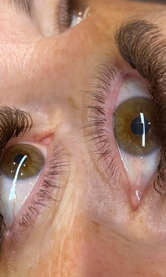 ladybuglashes lashglue lashtrays lashadhesive glueretention cloverlashes wlashes yylashes premades promades lashes