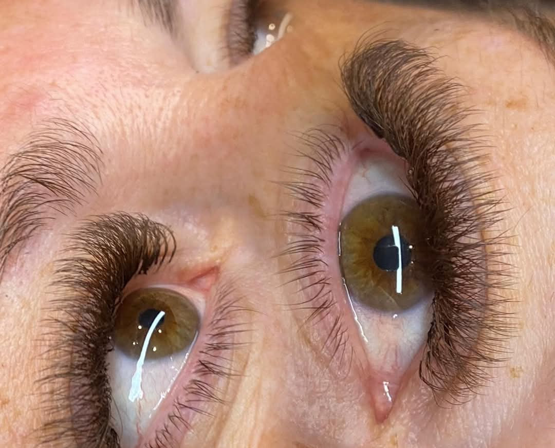 ladybuglashes lashglue lashtrays lashadhesive glueretention cloverlashes wlashes yylashes premades promades lashes