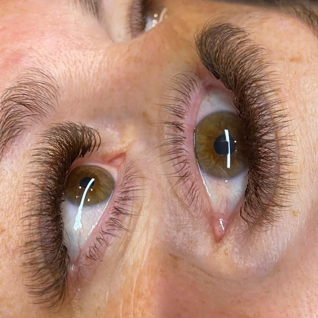 ladybuglashes lashglue lashtrays lashadhesive glueretention cloverlashes wlashes yylashes premades promades lashes