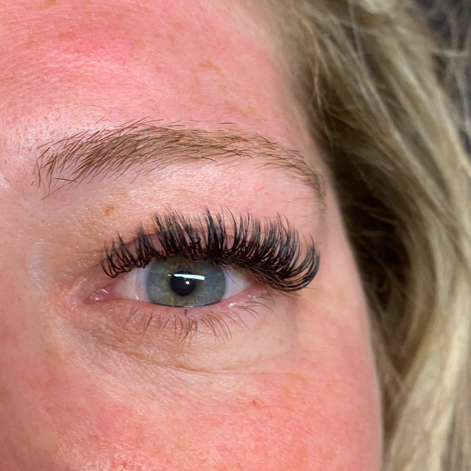 ladybuglashes lashglue lashtrays lashadhesive glueretention cloverlashes wlashes yylashes premades promades lashes