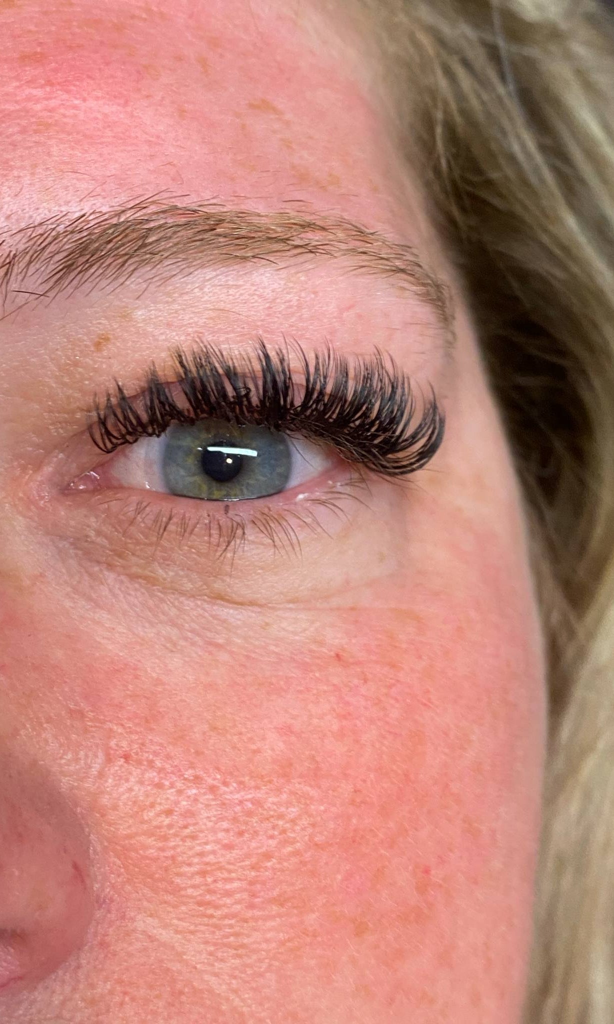 ladybuglashes lashglue lashtrays lashadhesive glueretention cloverlashes wlashes yylashes premades promades lashes