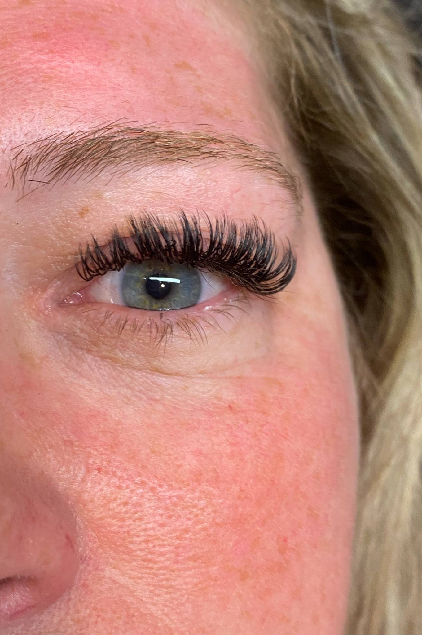 ladybuglashes lashglue lashtrays lashadhesive glueretention cloverlashes wlashes yylashes premades promades lashes