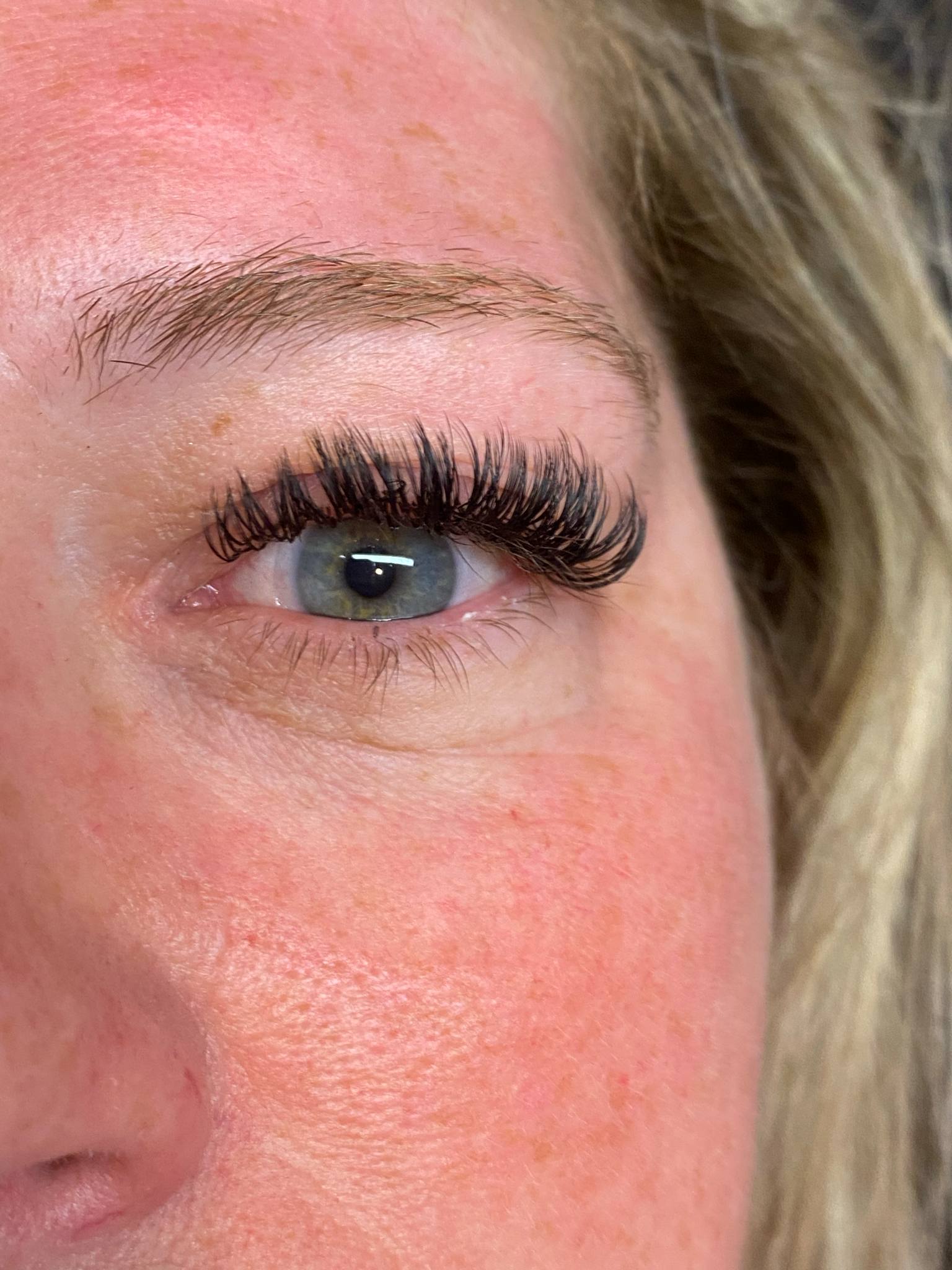 ladybuglashes lashglue lashtrays lashadhesive glueretention cloverlashes wlashes yylashes premades promades lashes