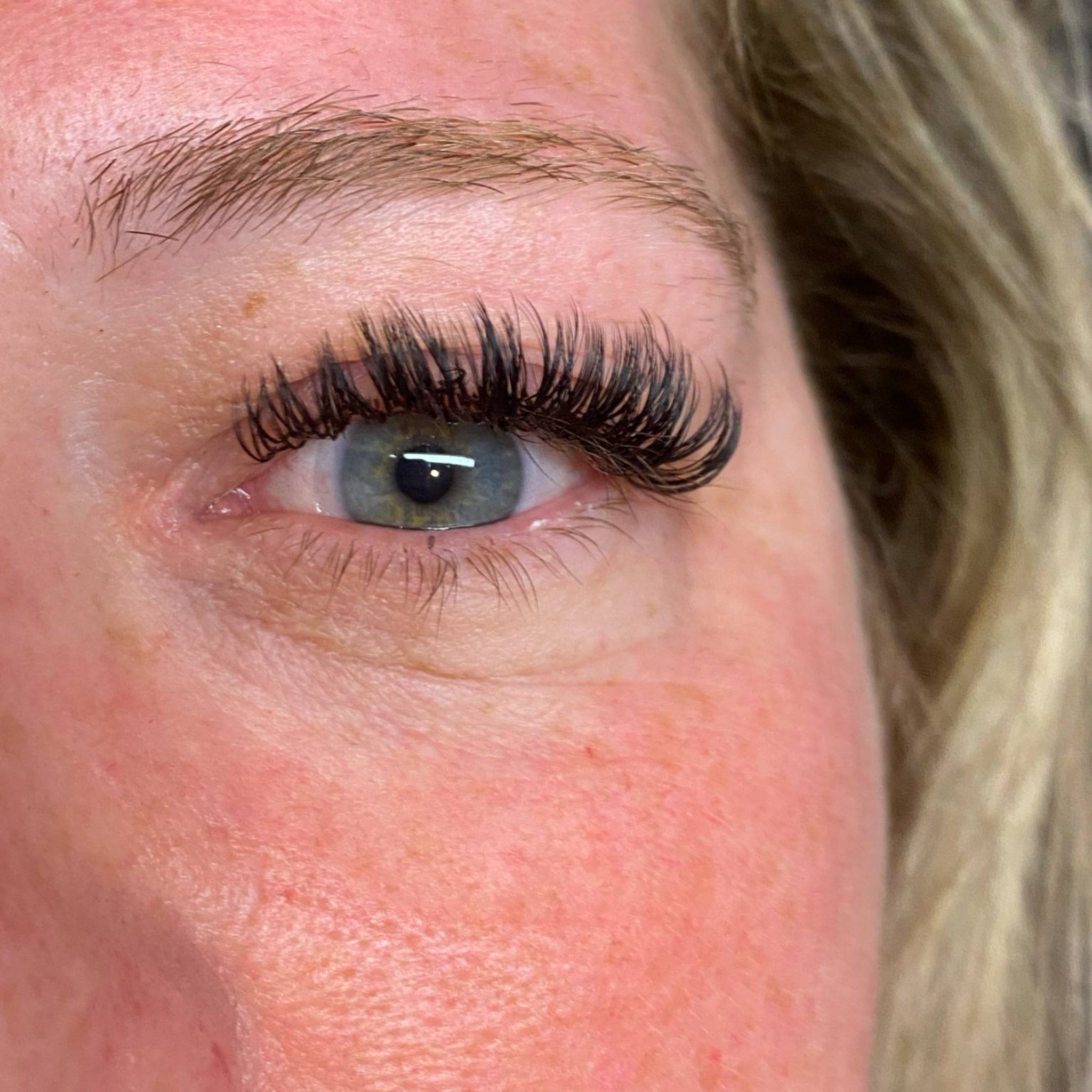 ladybuglashes lashglue lashtrays lashadhesive glueretention cloverlashes wlashes yylashes premades promades lashes