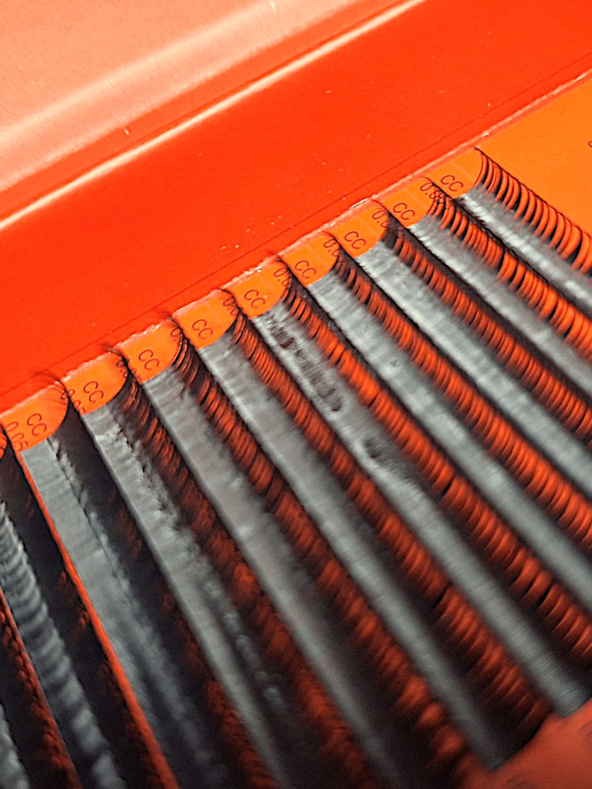 ladybuglashes lashglue lashtrays lashadhesive glueretention cloverlashes wlashes yylashes premades promades lashes