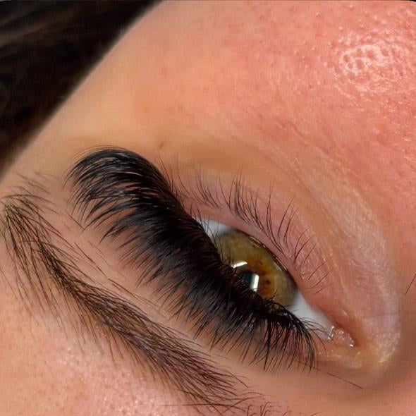 ladybuglashes lashglue lashtrays lashadhesive glueretention cloverlashes wlashes yylashes premades promades lashes