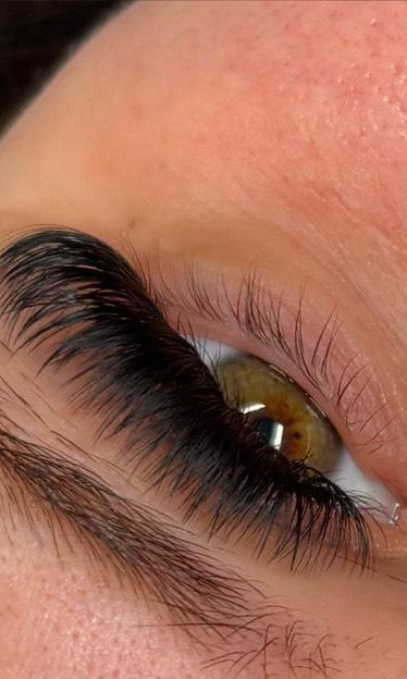 ladybuglashes lashglue lashtrays lashadhesive glueretention cloverlashes wlashes yylashes premades promades lashes