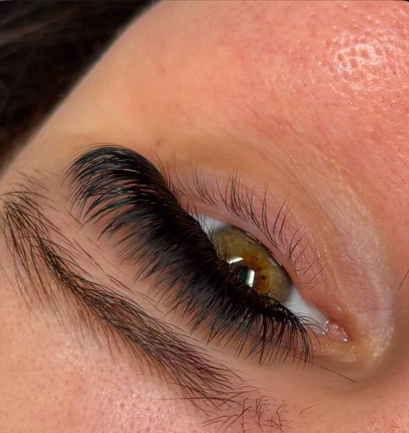 ladybuglashes lashglue lashtrays lashadhesive glueretention cloverlashes wlashes yylashes premades promades lashes