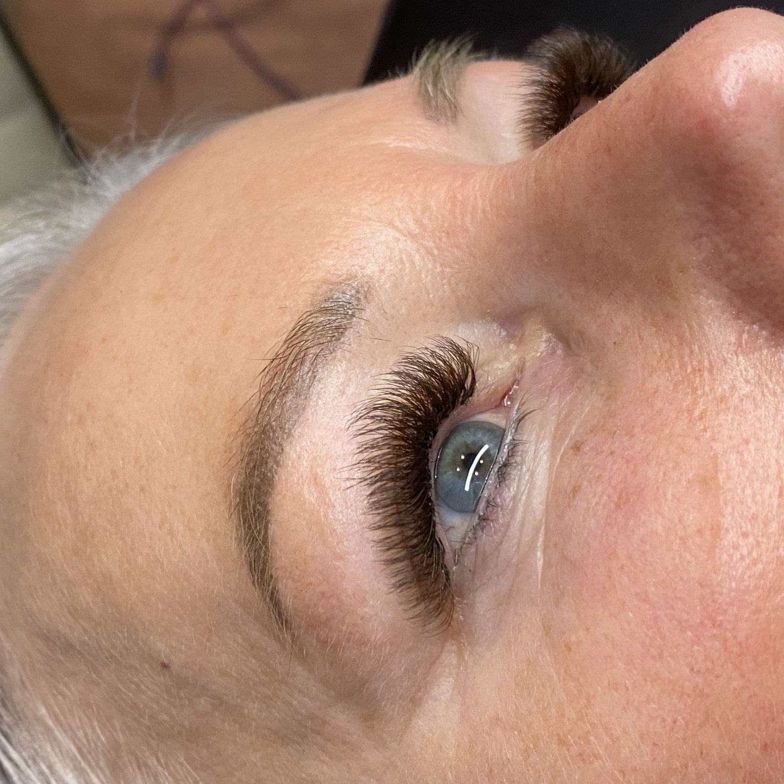 ladybuglashes lashglue lashtrays lashadhesive glueretention cloverlashes wlashes yylashes premades promades lashes