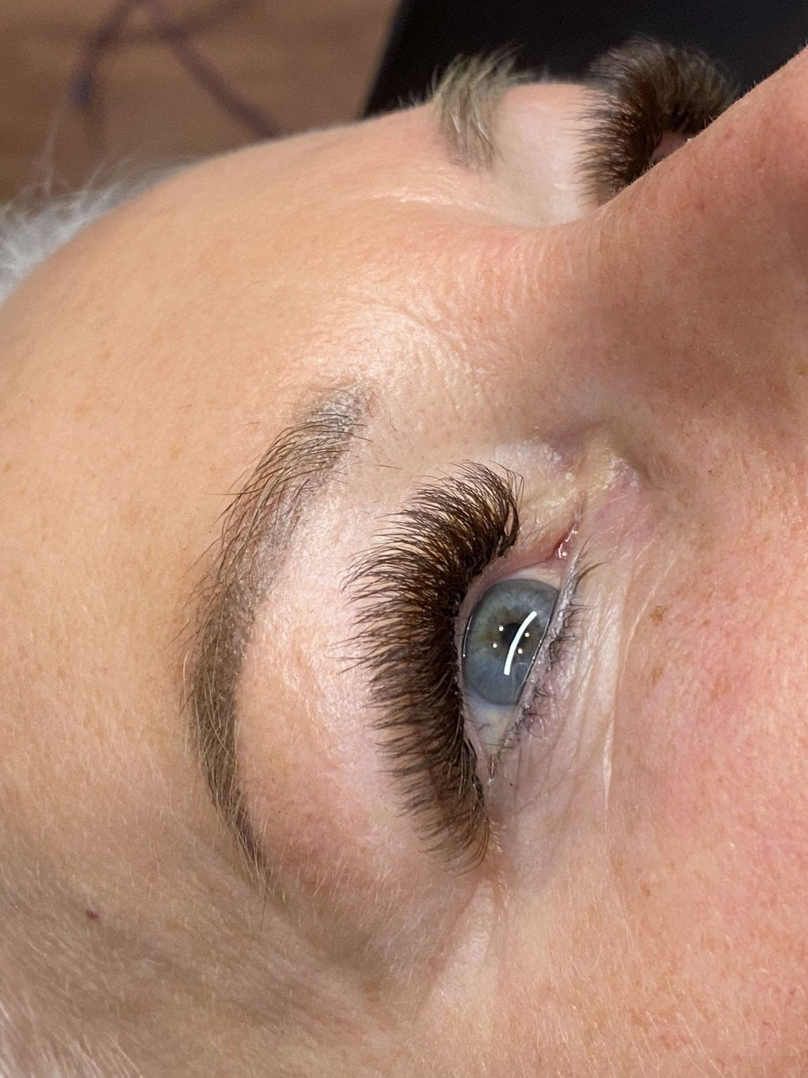 ladybuglashes lashglue lashtrays lashadhesive glueretention cloverlashes wlashes yylashes premades promades lashes