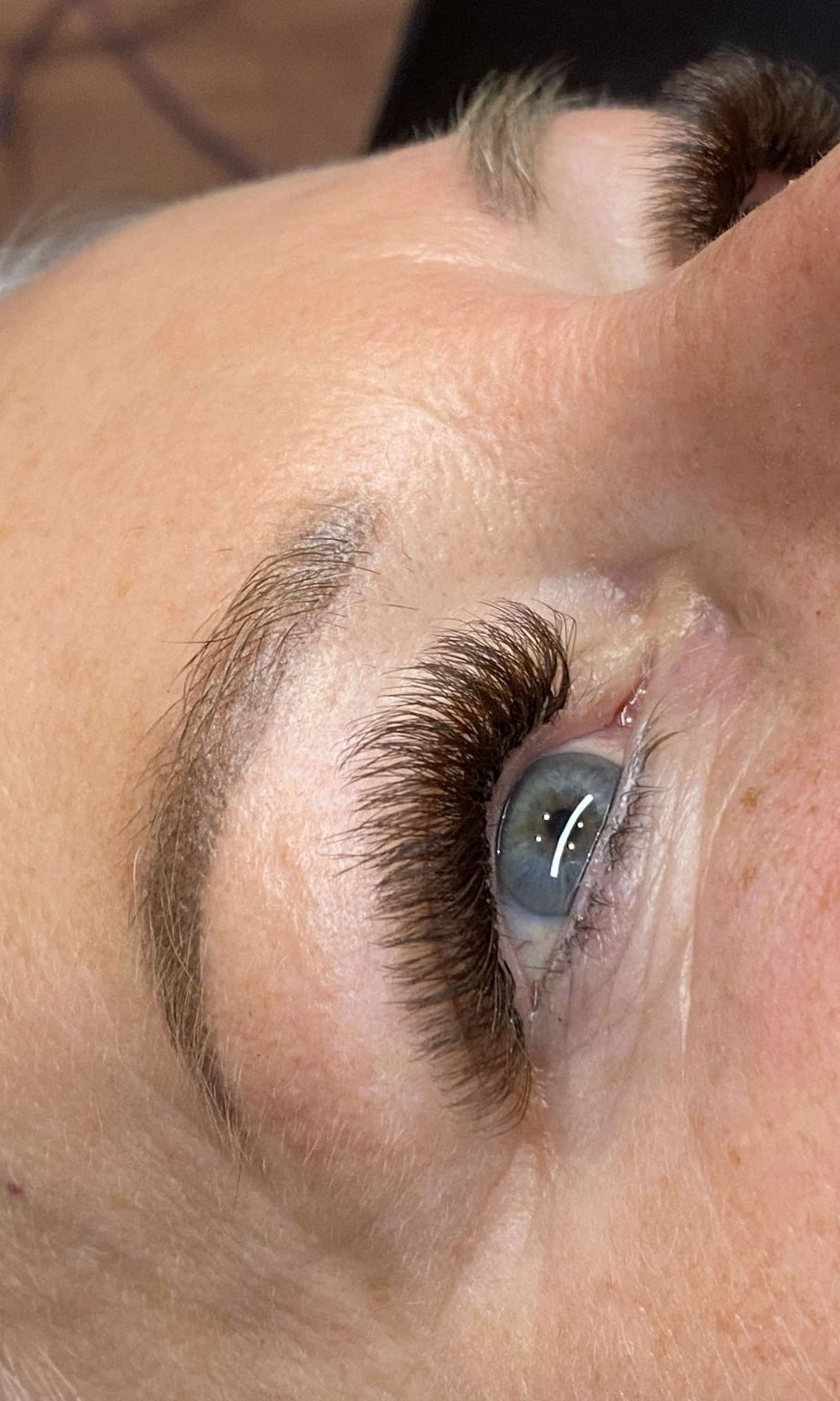 ladybuglashes lashglue lashtrays lashadhesive glueretention cloverlashes wlashes yylashes premades promades lashes