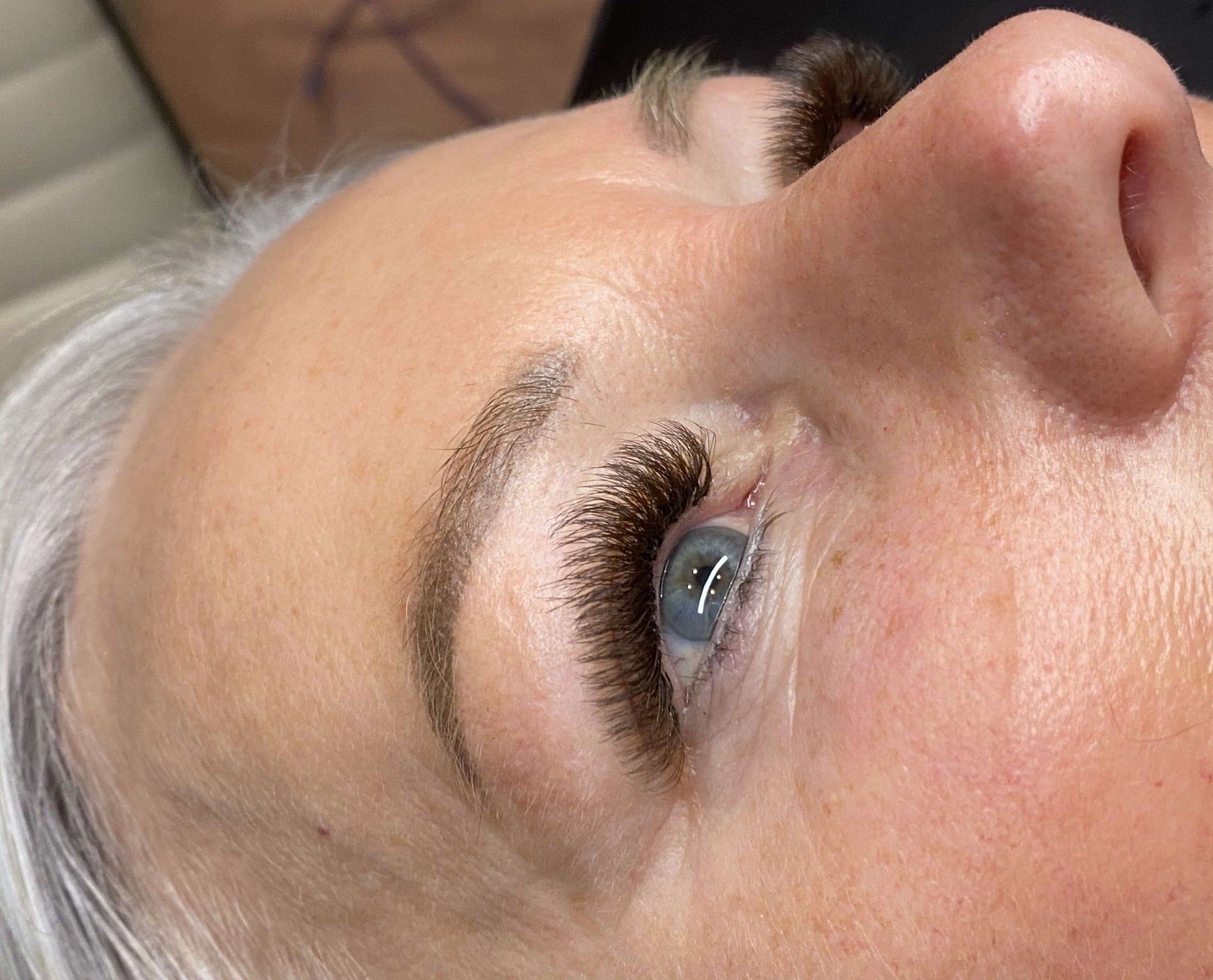 ladybuglashes lashglue lashtrays lashadhesive glueretention cloverlashes wlashes yylashes premades promades lashes