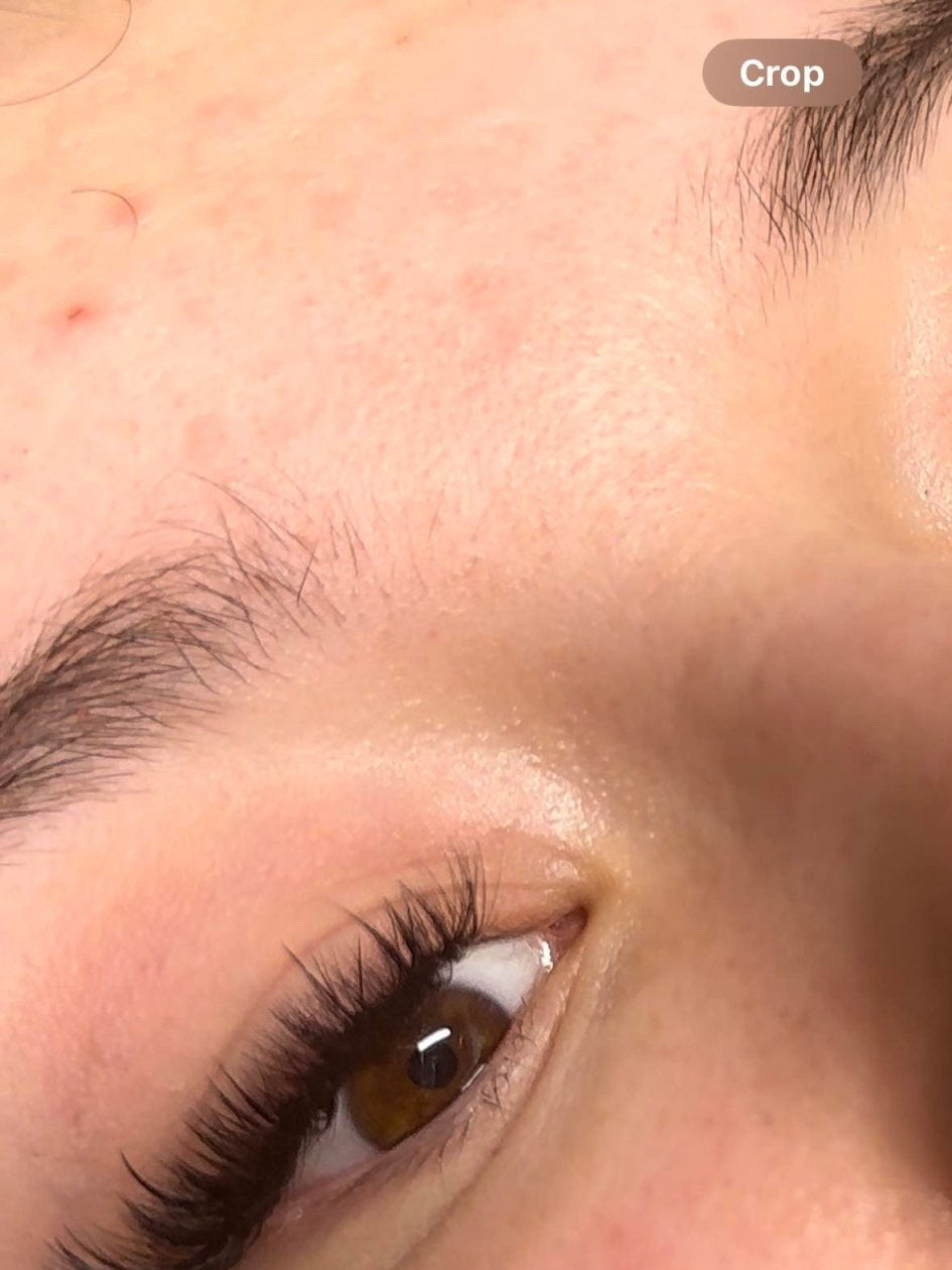 ladybuglashes lashglue lashtrays lashadhesive glueretention cloverlashes wlashes yylashes premades promades lashes