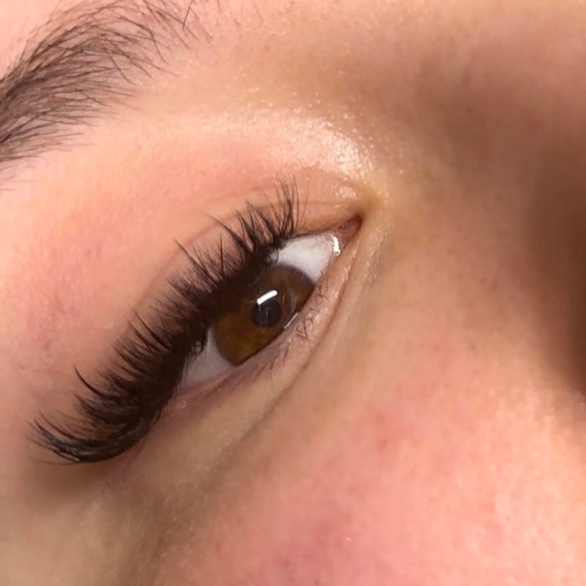 ladybuglashes lashglue lashtrays lashadhesive glueretention cloverlashes wlashes yylashes premades promades lashes