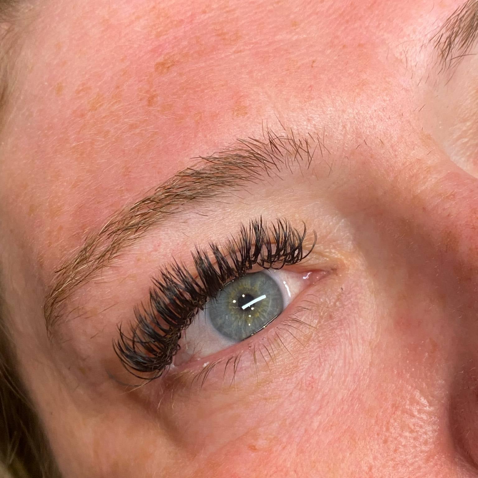 ladybuglashes lashglue lashtrays lashadhesive glueretention cloverlashes wlashes yylashes premades promades lashes