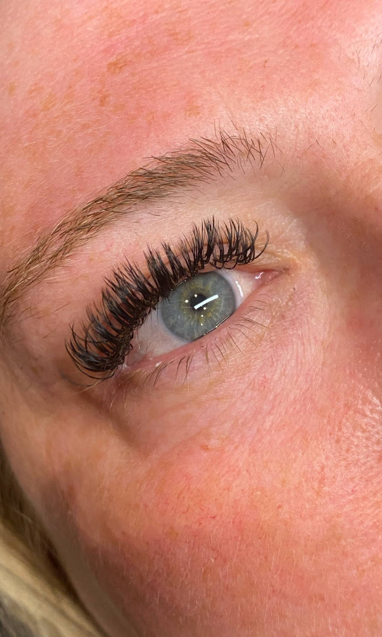 ladybuglashes lashglue lashtrays lashadhesive glueretention cloverlashes wlashes yylashes premades promades lashes