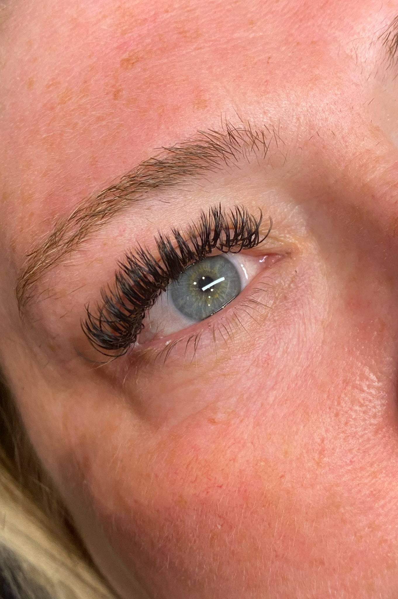 ladybuglashes lashglue lashtrays lashadhesive glueretention cloverlashes wlashes yylashes premades promades lashes