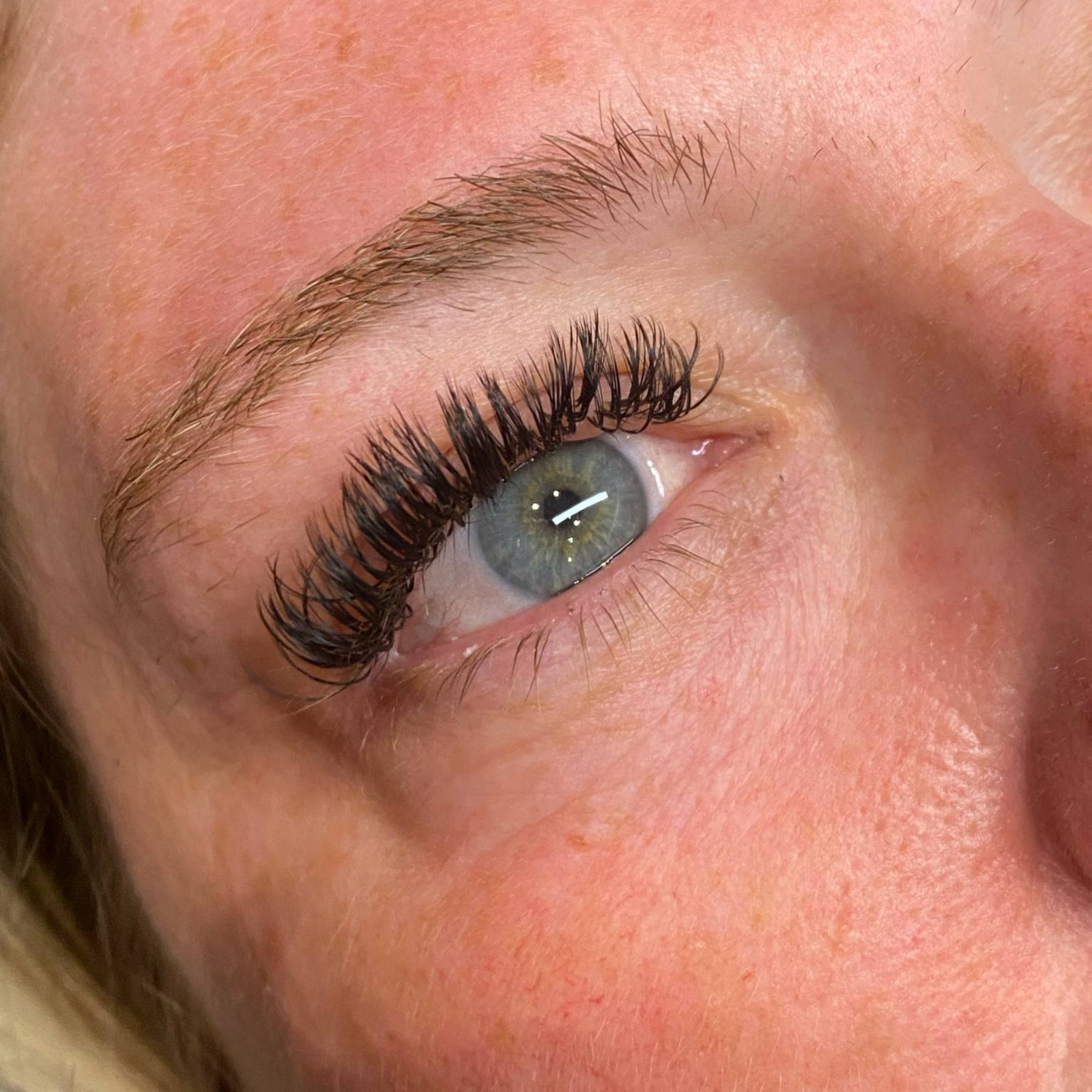 ladybuglashes lashglue lashtrays lashadhesive glueretention cloverlashes wlashes yylashes premades promades lashes