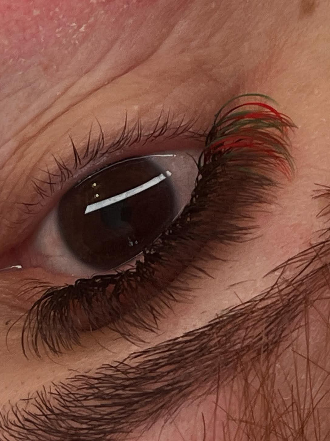 🌈 Bold Colour Volume Lashes 🌈 0.05mm 5-Row Tray 10–14mm Mix