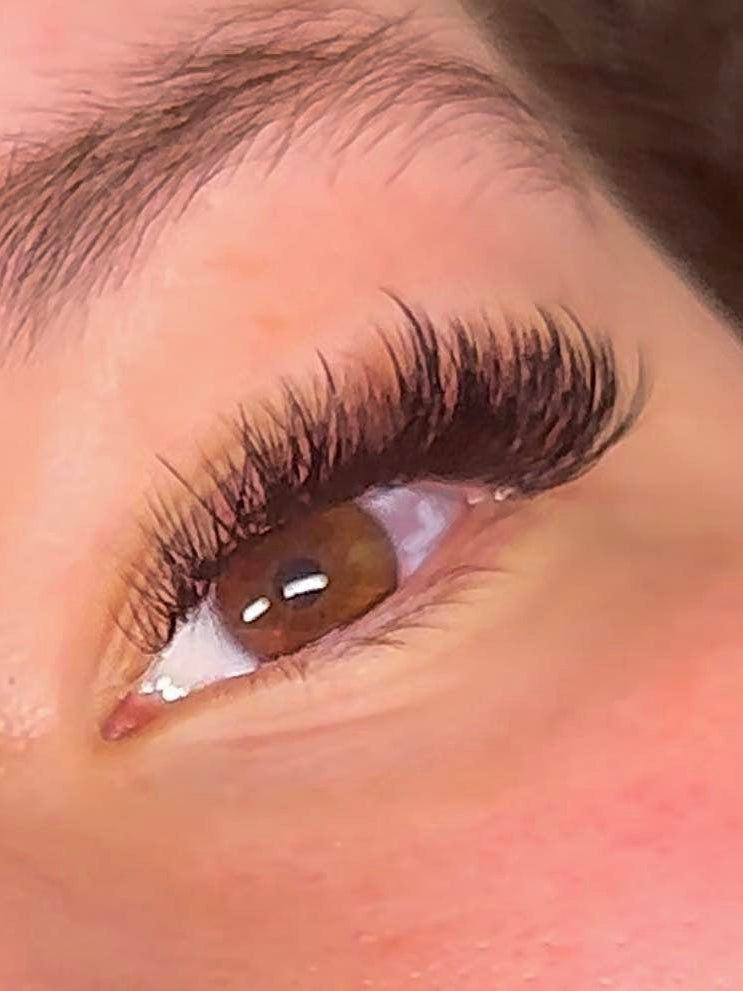 ladybuglashes lashglue lashtrays lashadhesive glueretention cloverlashes wlashes yylashes premades promades lashes