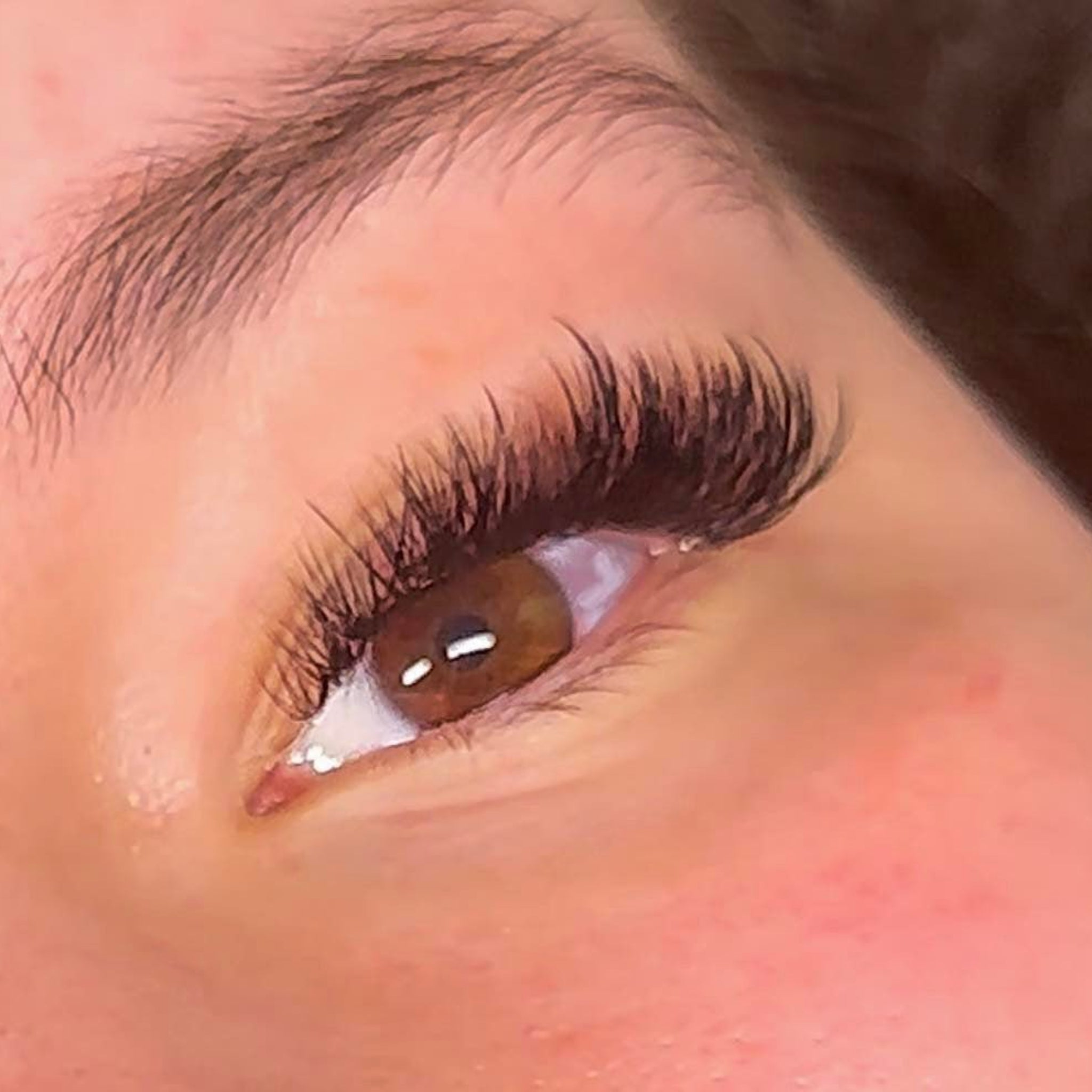 ladybuglashes lashglue lashtrays lashadhesive glueretention cloverlashes wlashes yylashes premades promades lashes