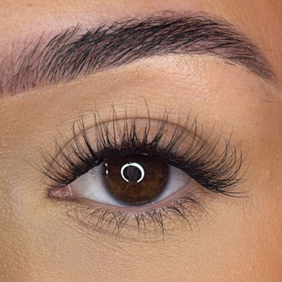 Lash Ribbons Pre-Glued Lash Clusters - Faff Lash - Mia – product image 2