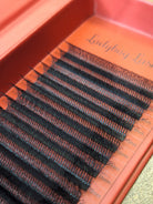 Eyelash extensions on an red tray with 'Ladybug Lashes' branding.