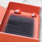 10d clover lashes