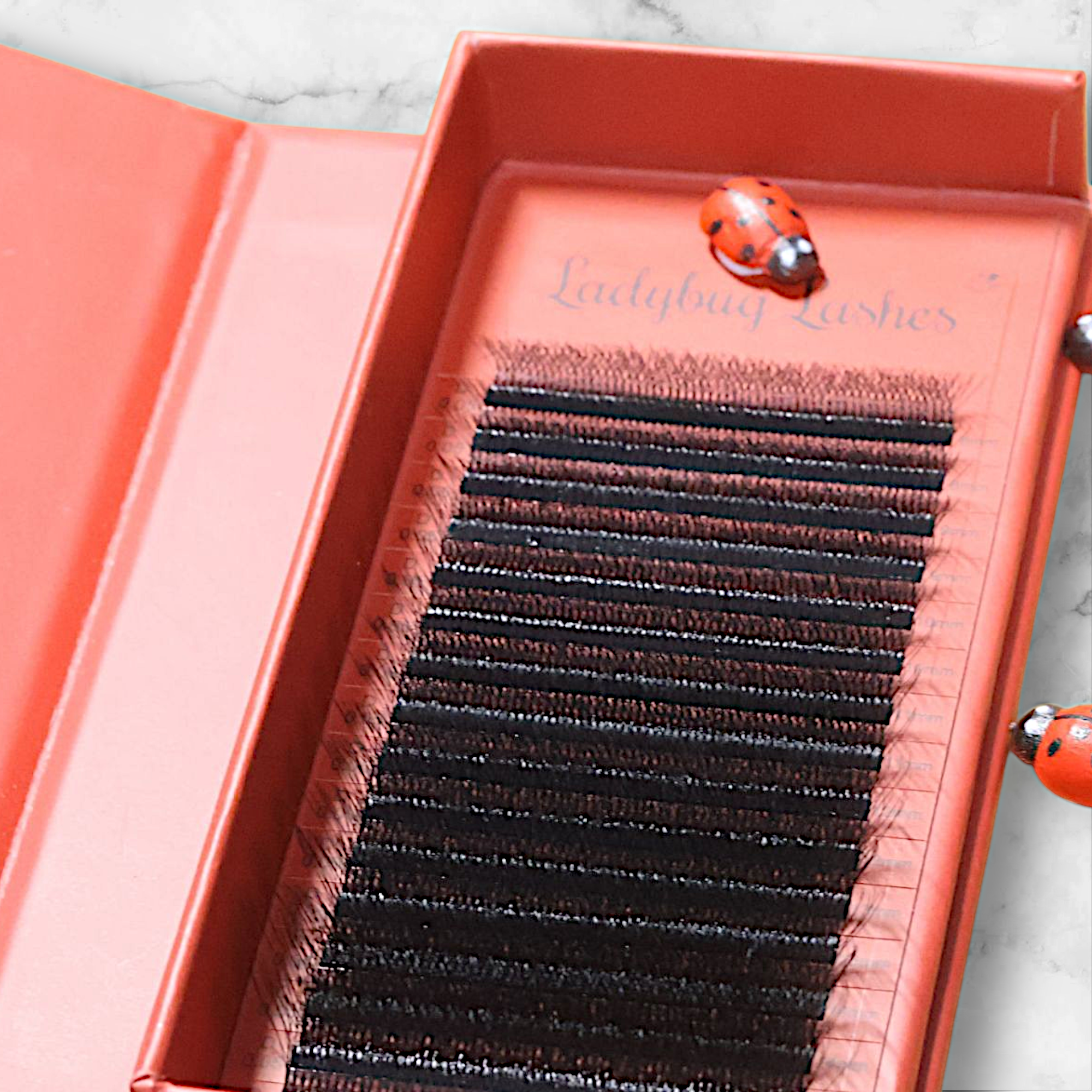 16 row 8d clover lash tray
