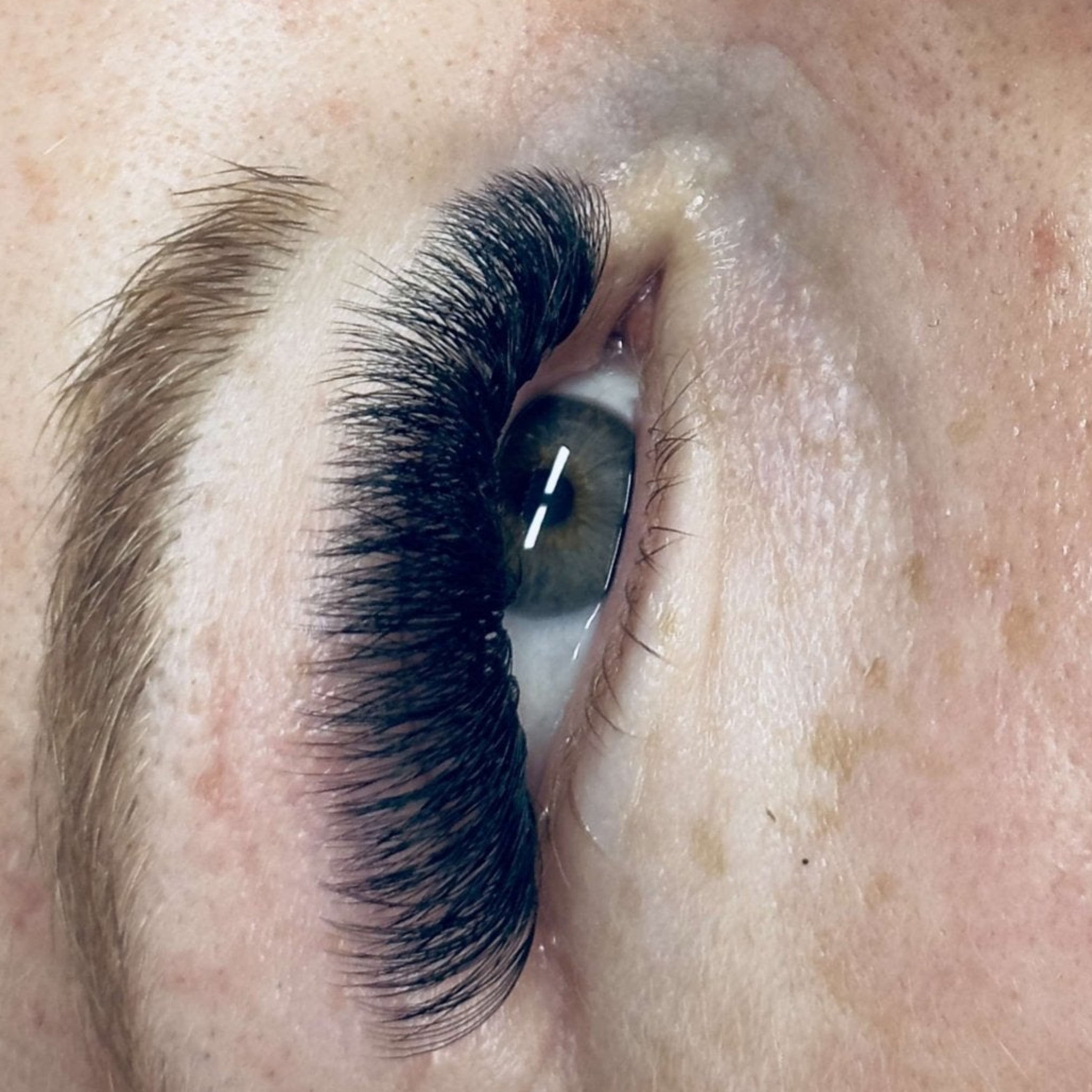 ladybuglashes lashglue lashtrays lashadhesive glueretention cloverlashes wlashes yylashes premades promades lashes
