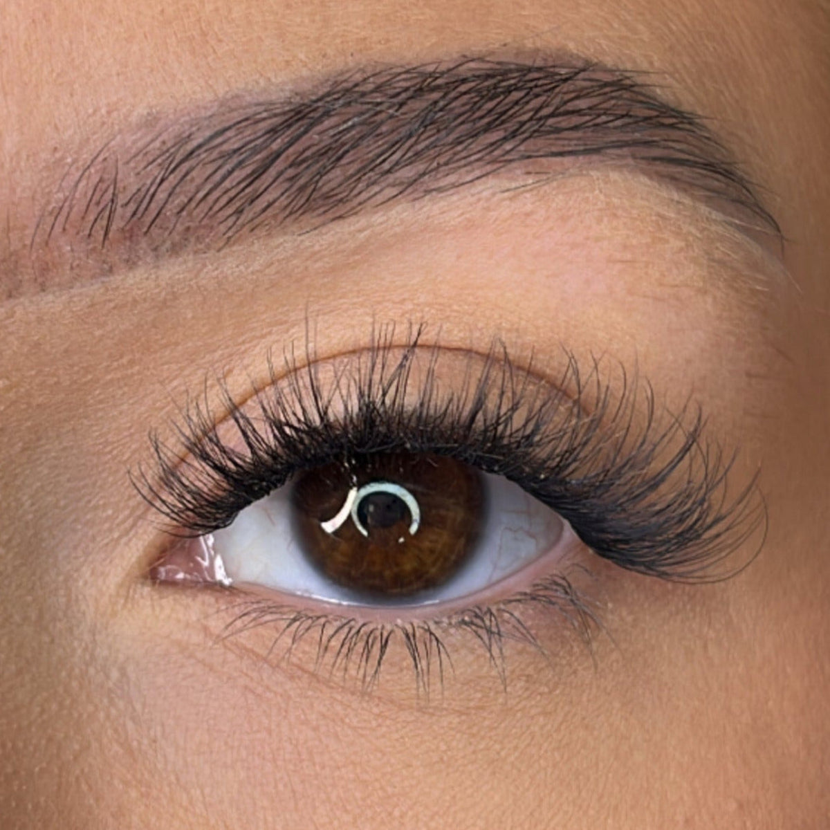 Lash Ribbons Bre Pre-Glued Lash Clusters – product image 2