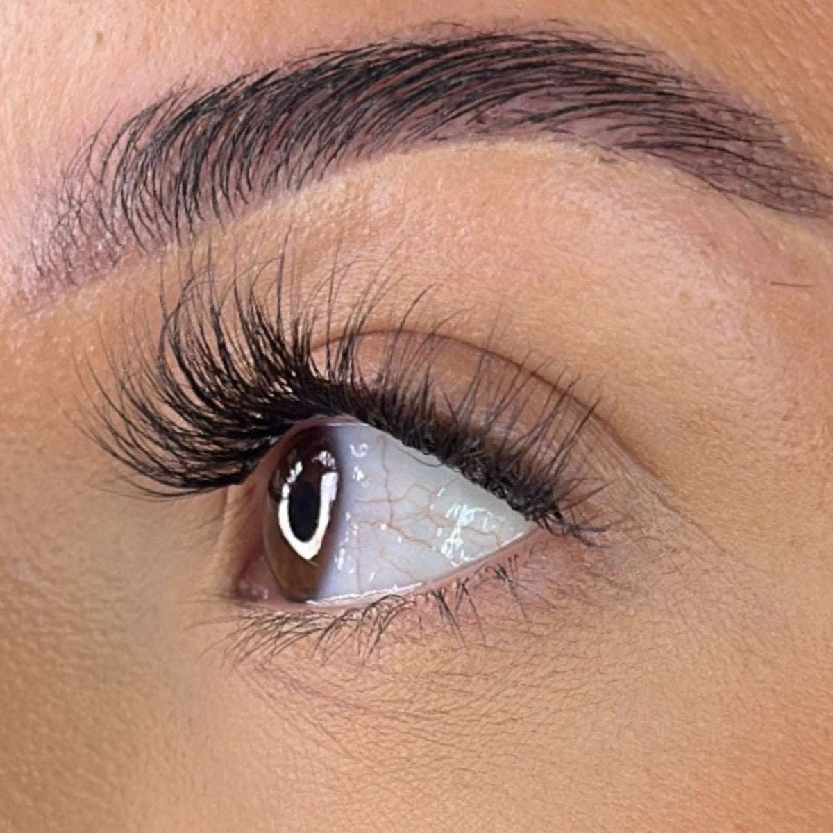 Lash Ribbons Pre-Glued Lash Clusters - Faff Lash - Mia – product image 3