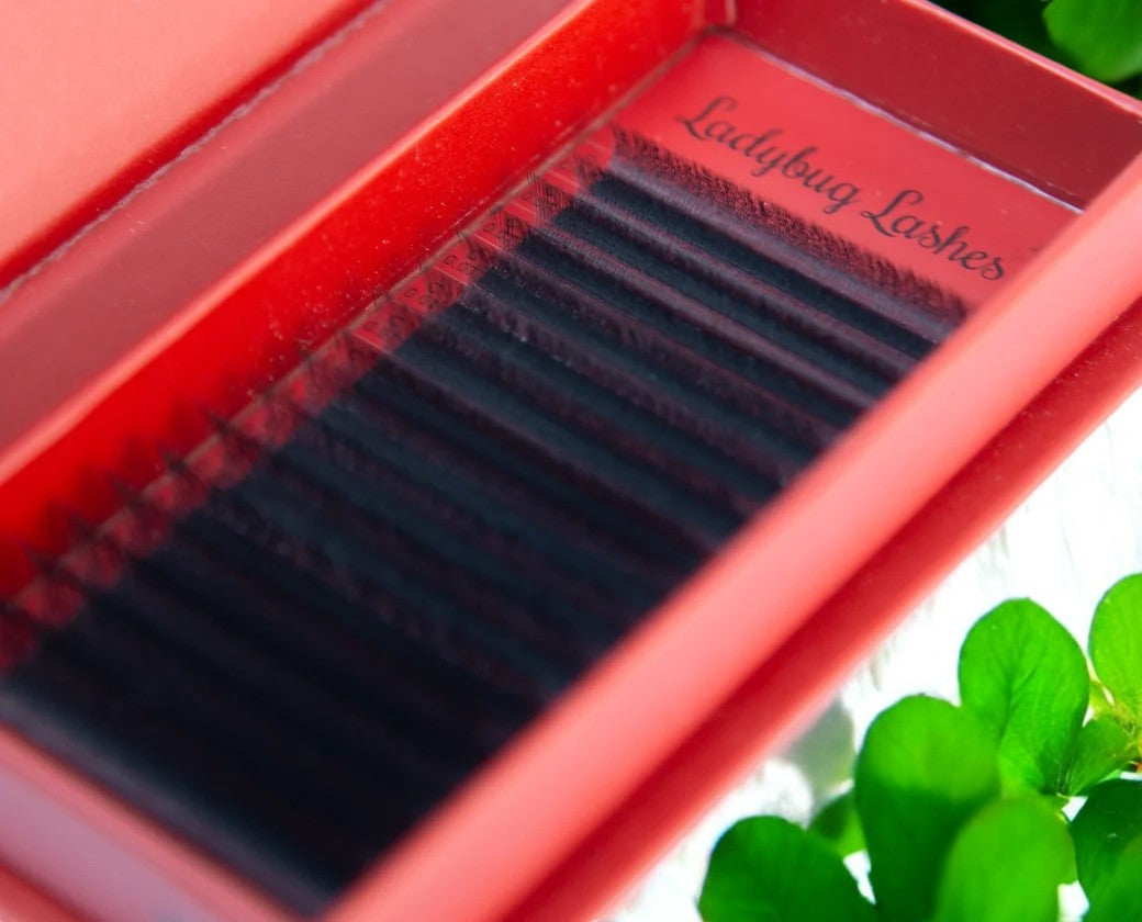4D Clover Lash Extensions – 16 Rows Single Length