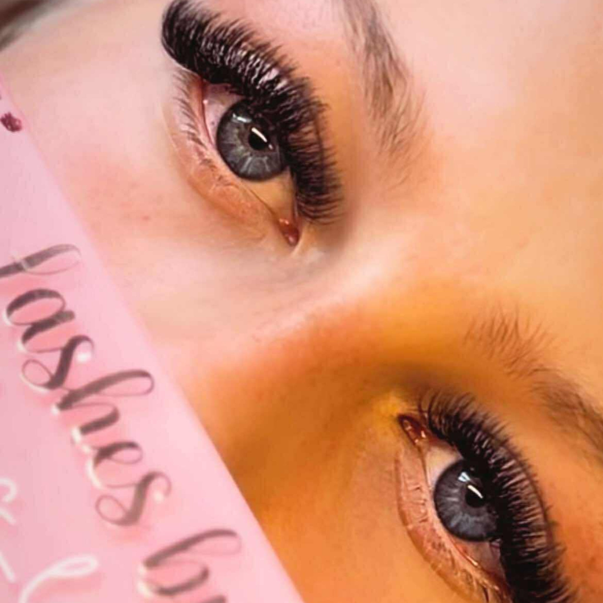 ladybuglashes lashglue lashtrays lashadhesive glueretention cloverlashes wlashes yylashes premades promades lashes