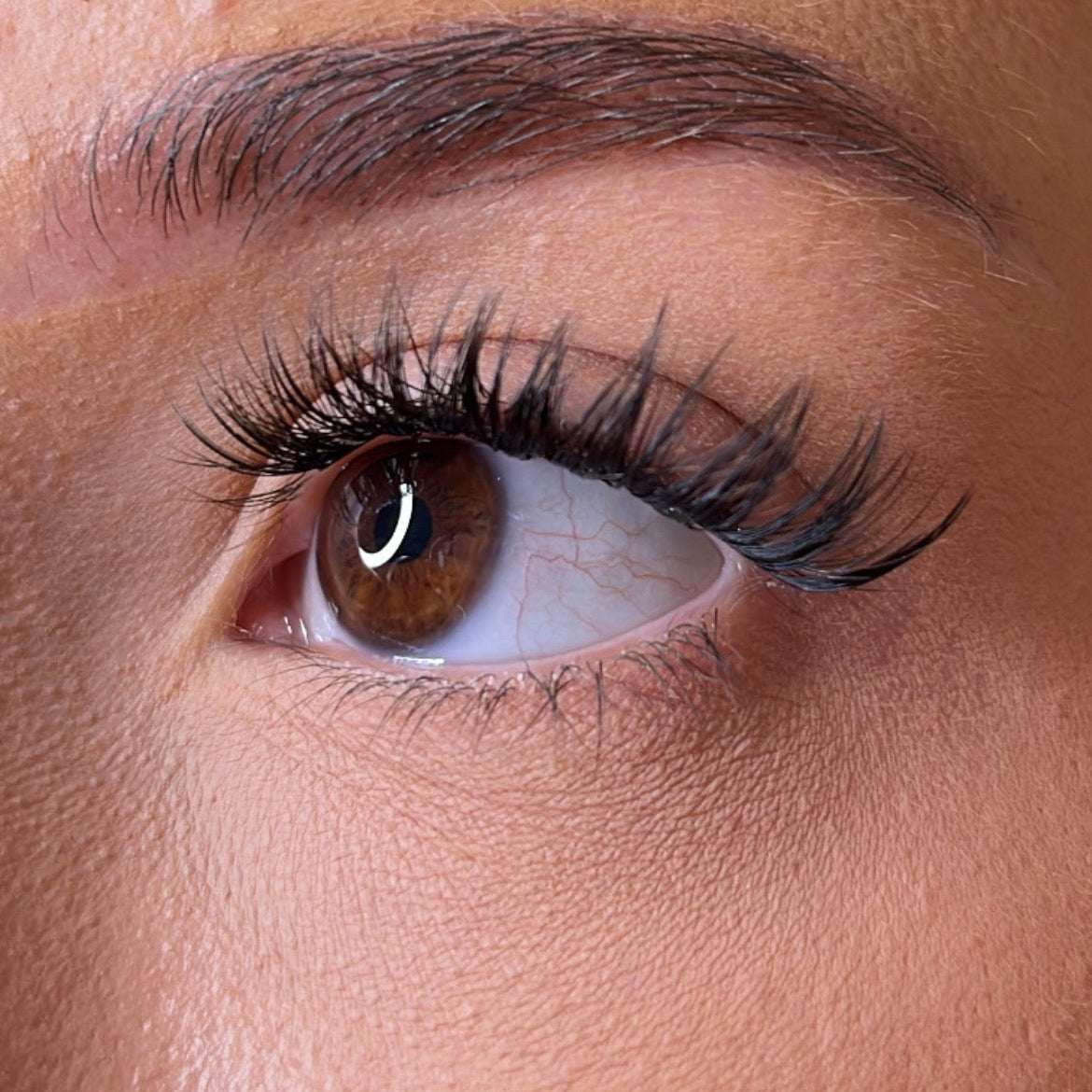 Lash Ribbons Mor Pre-Glued Lash Clusters – product image 3