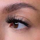 Lash Ribbons Una NEW Pre-Glued Lash Clusters – product image 3