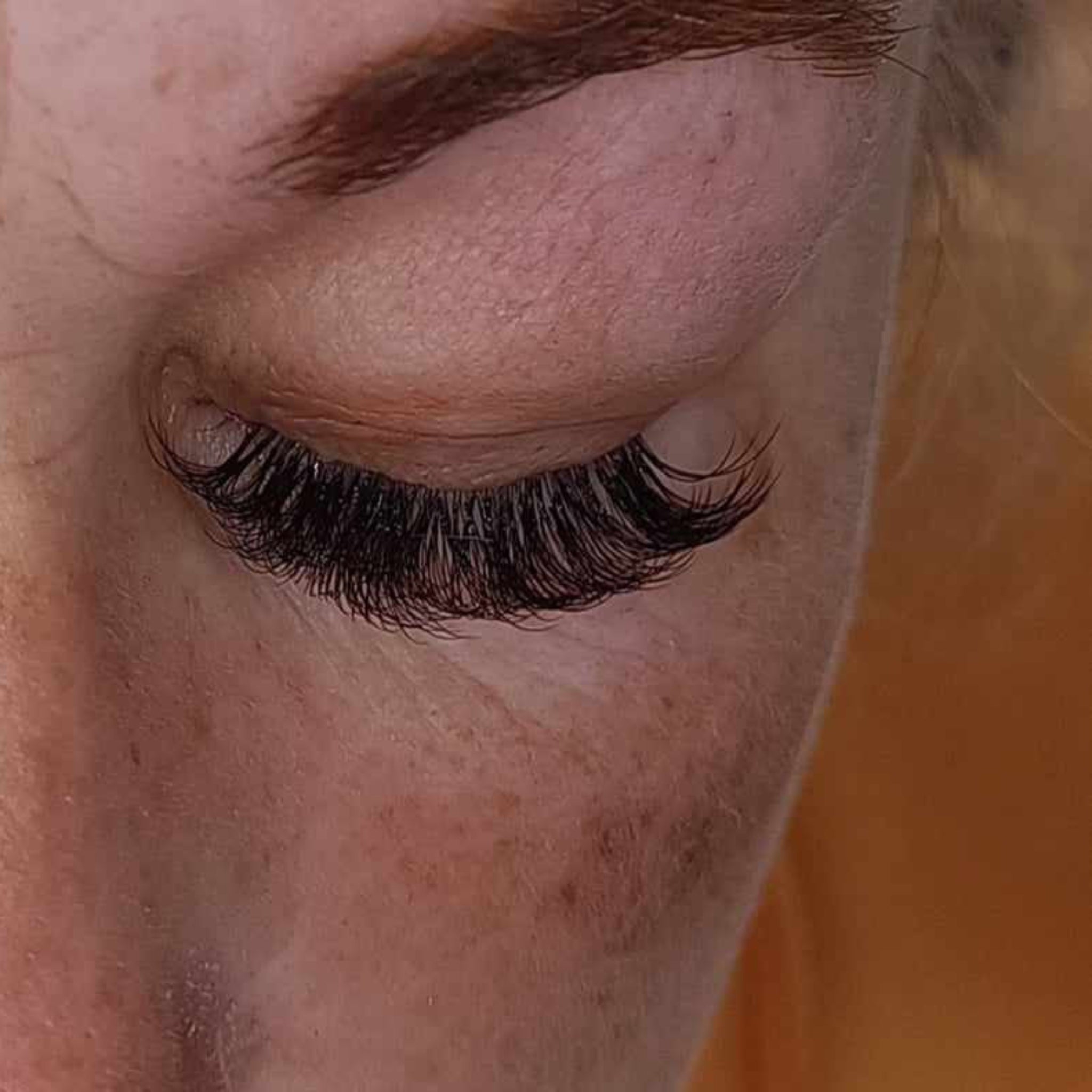 ladybuglashes lashglue lashtrays lashadhesive glueretention cloverlashes wlashes yylashes premades promades lashes