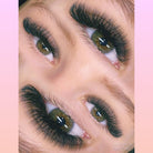 6D Clover Lash Extensions – 16 Rows, Single Length Fluffy